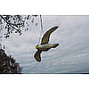 Відлякувач птахів Сокіл у польоті CTRL-BR104, фото 4