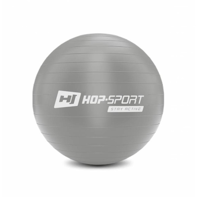 

Фитбол для фитнеса и йоги 45 см Hop-Sport серебристый + насос для дома и спортзала с нагрузкой до 100 кг