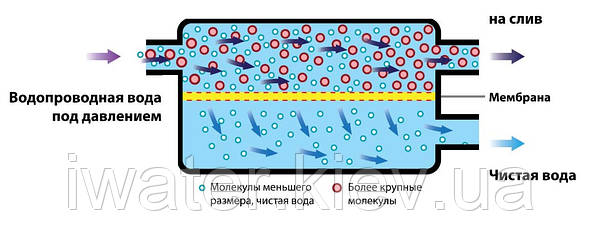 Статья За Слив Фото В Интернет