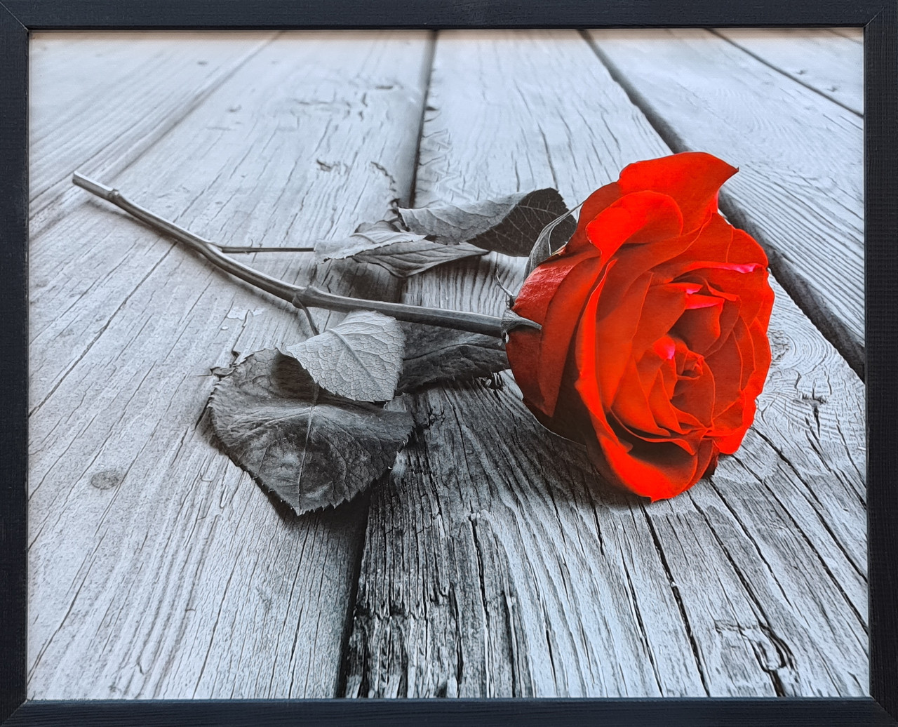 Фотокартина в дерев'яній рамі "Rose 2", 40х50 см
