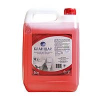 Бланидас - Кислотное средство для мытья санитарных комнат, 5 л