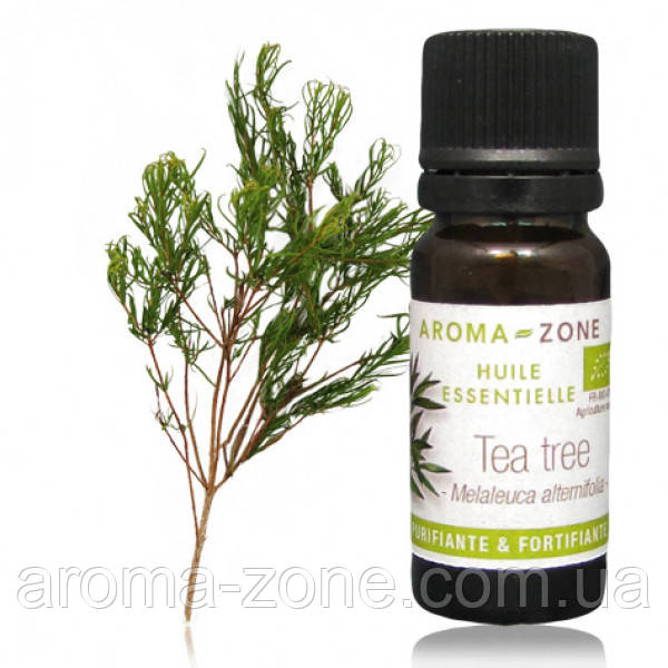 

Чайное дерево (Melaleuca alternifolia) BIO Объем: 30 мл
