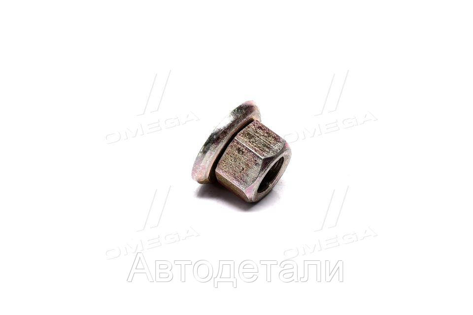 

Гайка М22х1,5 евроболта (пр-во БААЗ) 93865-3104038