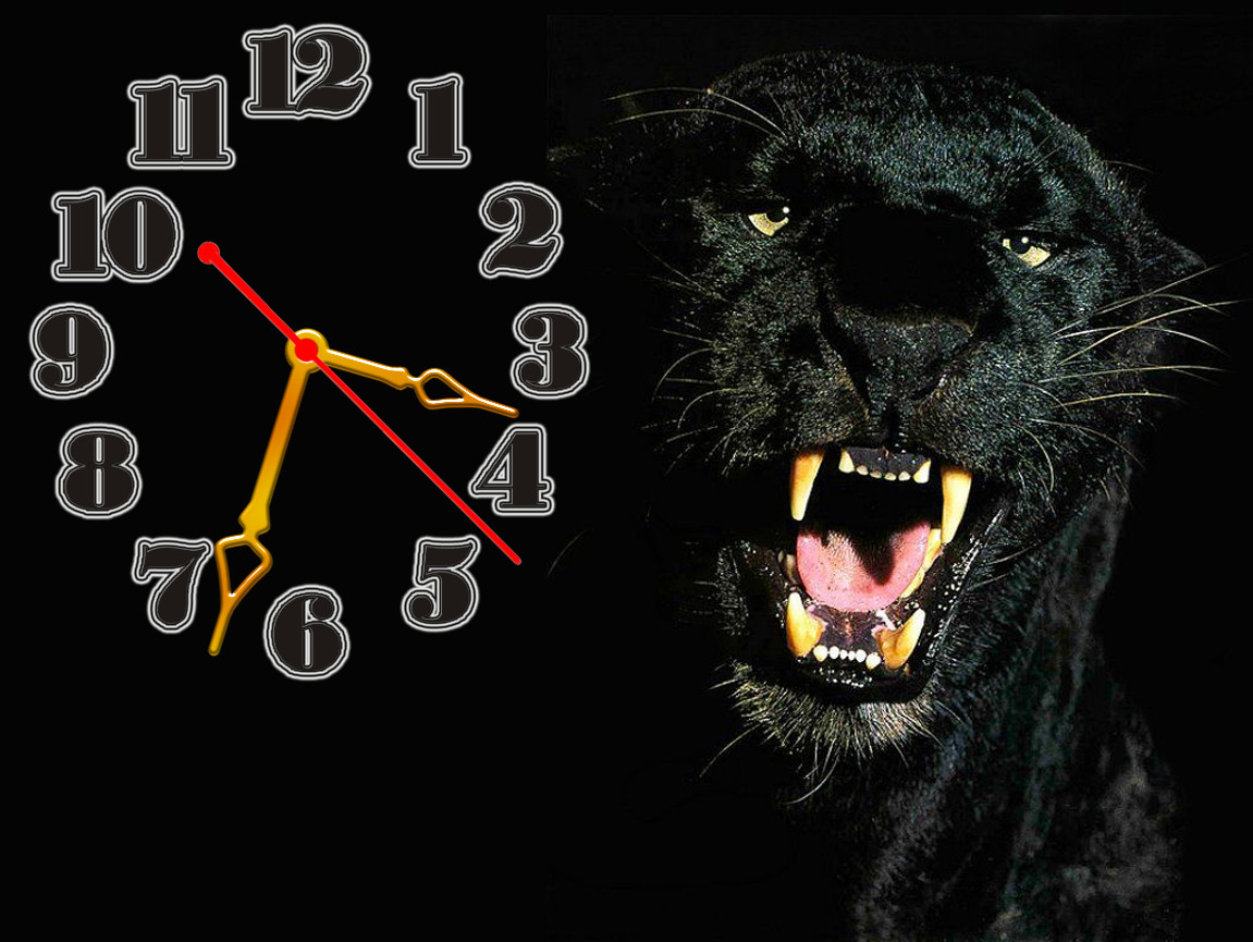 

Часы настенные Пантера 30х40 см