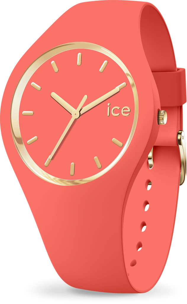 

Часы Ice-Watch 017058