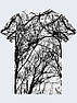 Чоловіча футболка з принтом Гілки дерев, фото 2