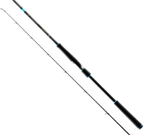 

Спиннинг Favorite SW X1 Shore 902MH 2.74m 10-30g 1-2lb Fast