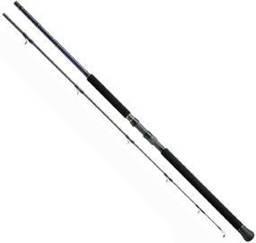 

Спиннинг Tail Walk Manbika Ver2 100XXH 140gr 13kg