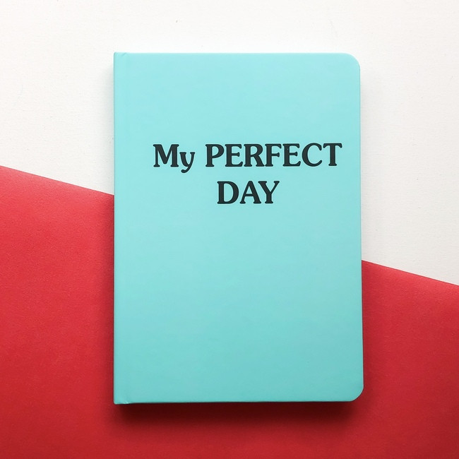 

Блокнот с котом Хвост и Усы Diary My perfect day недатированный русский язык Мятный
