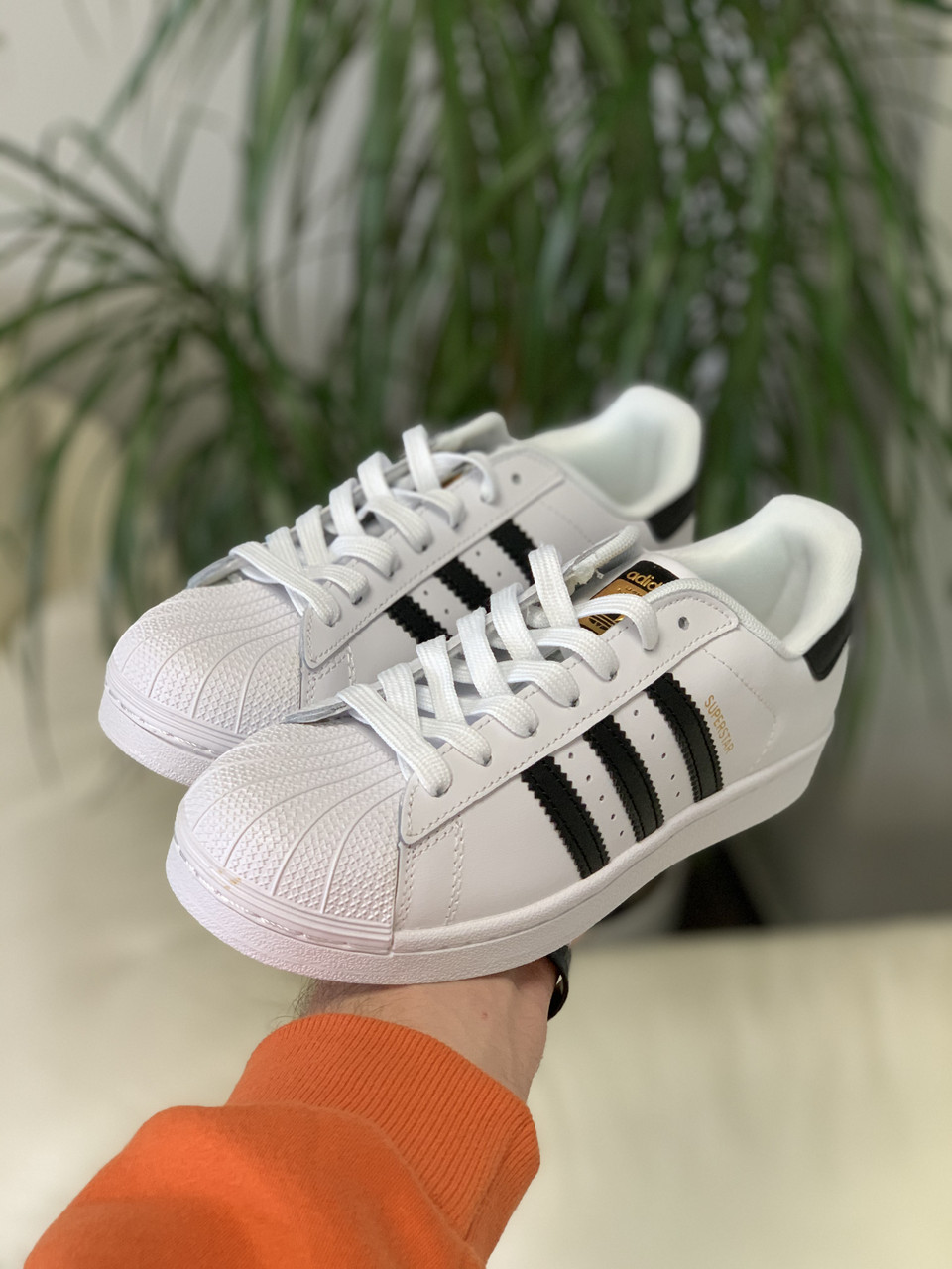 

Кроссовки женские Adidas Superstar белые, Адидас Суперстар, натуральная кожа, прошиты. Код DR-00247 37