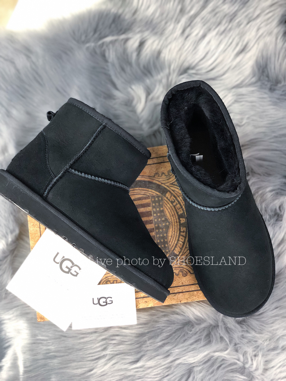 

Женские Ботинки Ugg Classic Mini II 1016222 "Black" - "Черные" 39