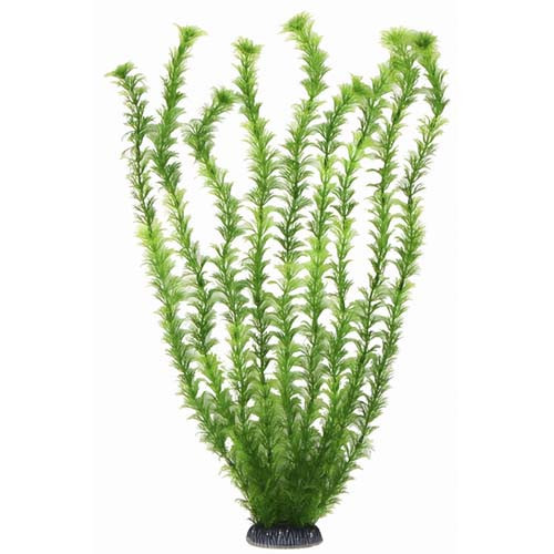 Аквариумное Aquatic Plants растение, 68 см х 4 шт/уп (6813)Нет в наличии