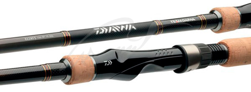 

Спиннинг Daiwa TD TD 802MLFS-AR 2.44m 5-15g