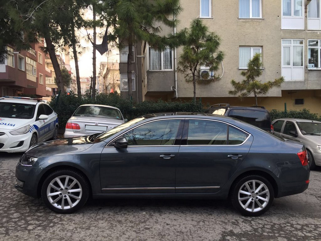 

Skoda Octavia A7 2013↗ гг. Полная окантовка стекол (10 шт, нерж)