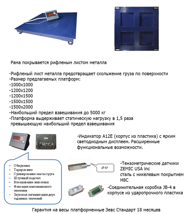 Весы платформенные ЗЕВС СТАНДАРТ ВПЕ-2000-4(H1010)