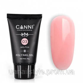 

Полигель (акригель) CANNI №03 натуральный розовый, 45g