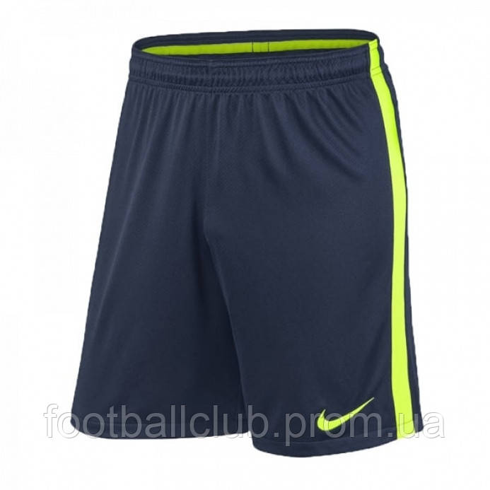 

Шорты Nike Squad 17 Football 832240-451