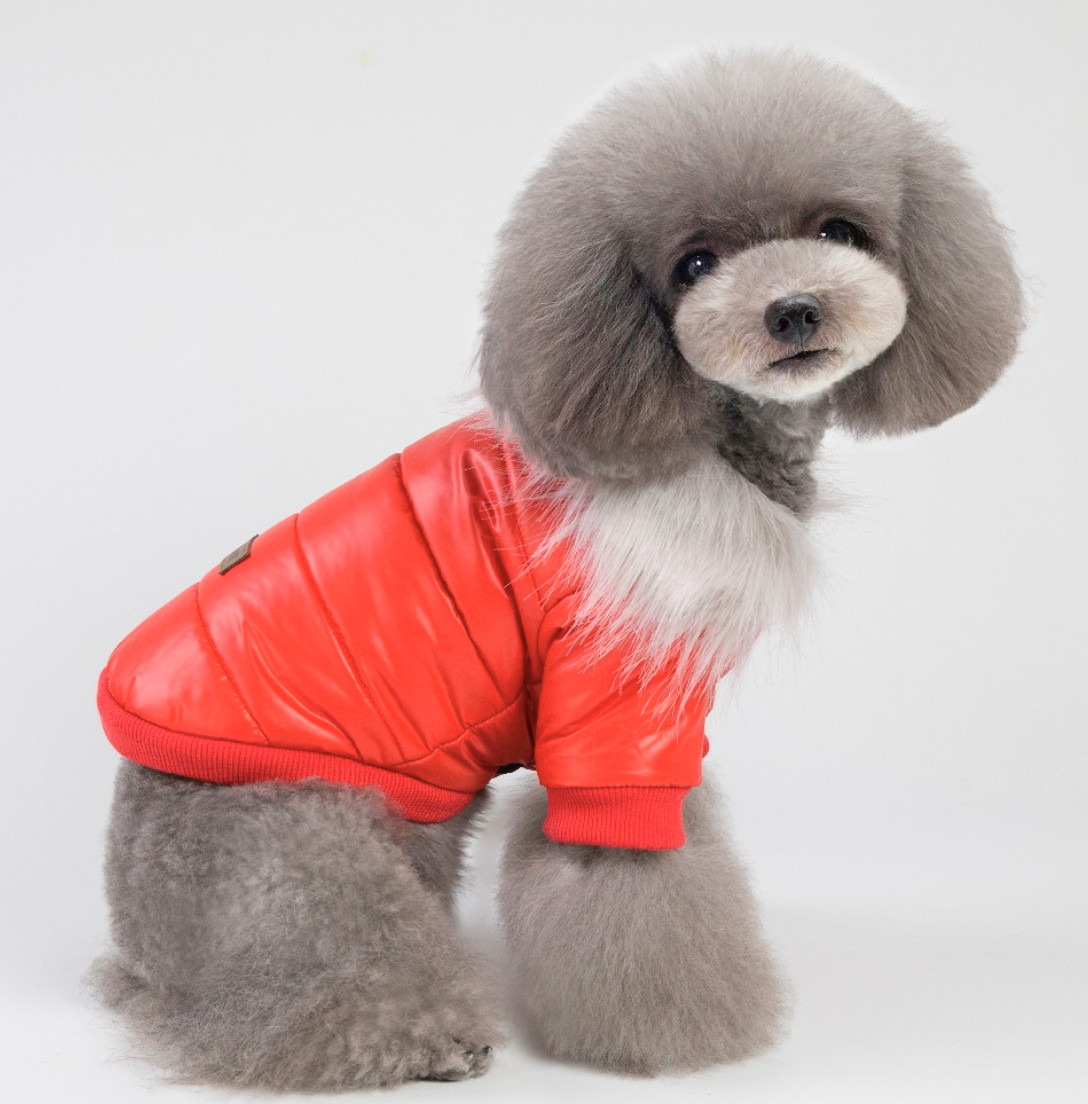 Зимняя куртка для собак с меховым воротником Dog Baby Style S Red