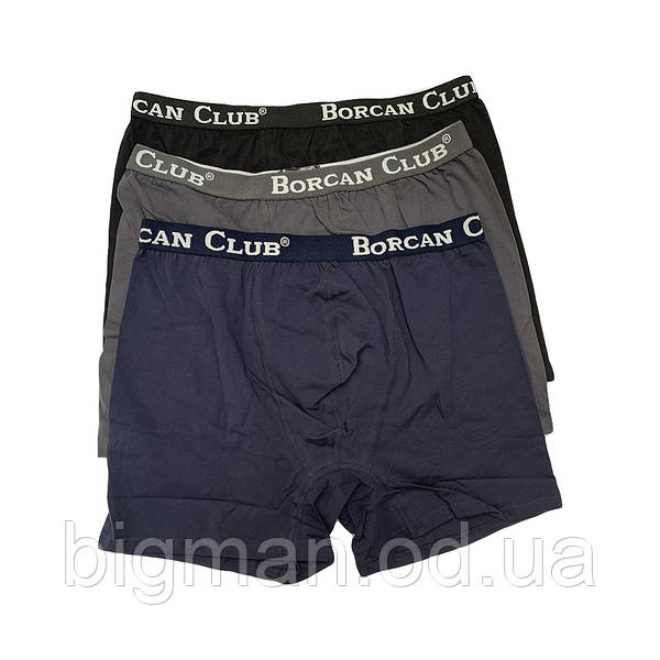 Borcan Club Одежда Больших Размеров Интернет Магазин