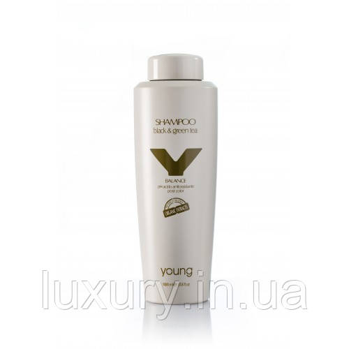 

Кислотный шампунь Post Color Y-BALANCE с екстрактами черного и зеленого чая Black & Green Tee Young 1000ml