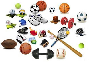 Спорт и увлечения