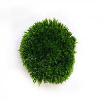Стабилизированный мох Прованс Королевский 500 г Green Ecco Moss