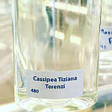 Масляная парфюмерия на разлив для женщин и мужчин 480 «Cassiopea Tiziana Terenzi» 30 мл, фото 2