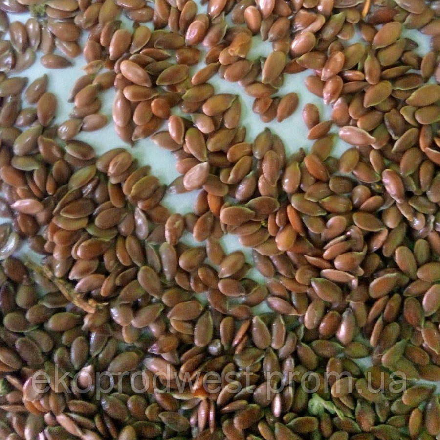 Семена льна  кондитерского масличного  1 кг. 