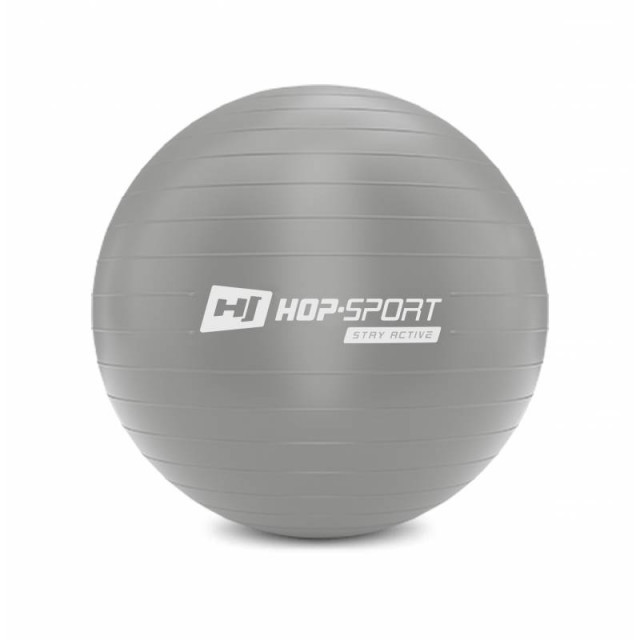 Фитбол, мяч для фитнеса Hop-Sport 55cm HS-R055YB silver + насос