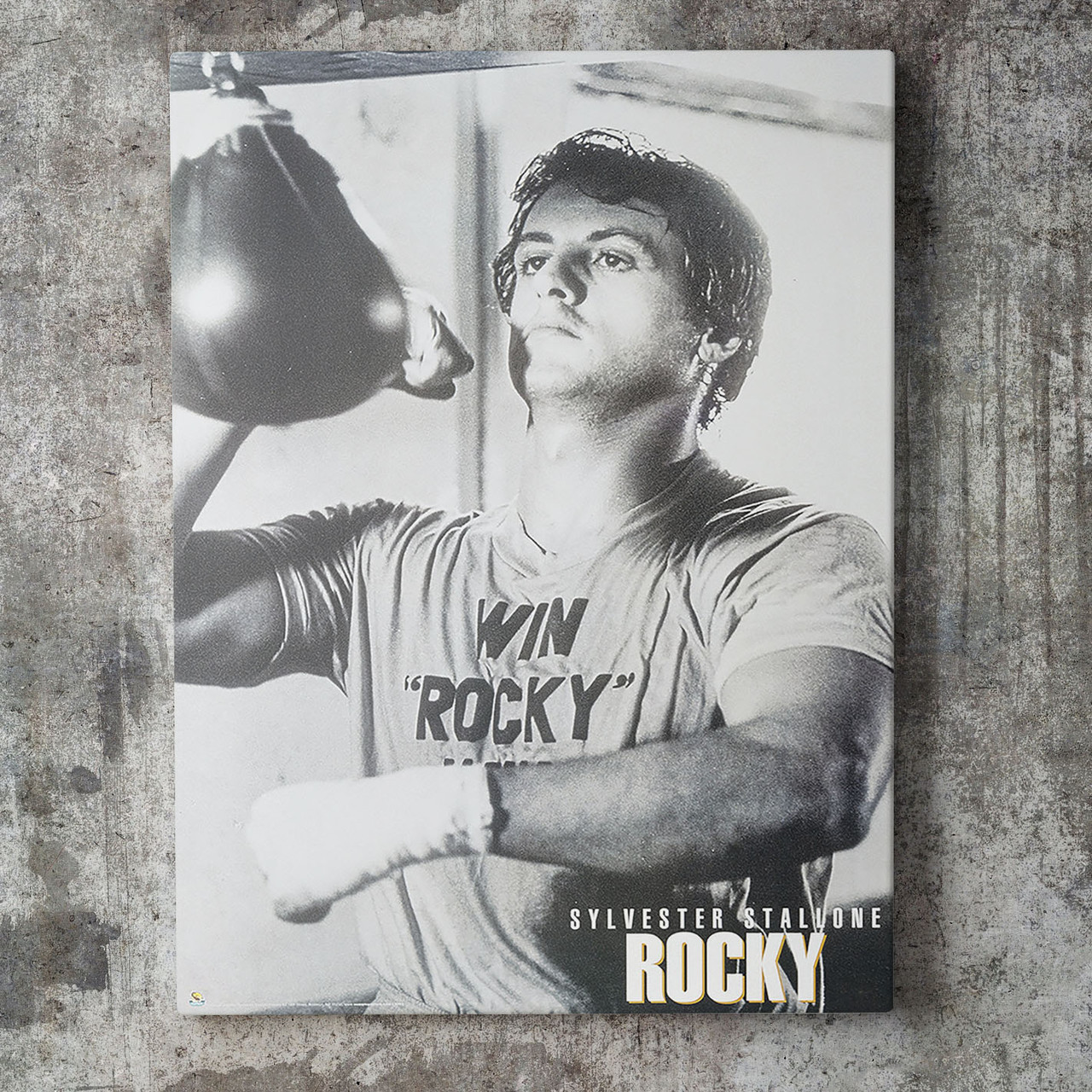 

Картина Рокки \ Rocky