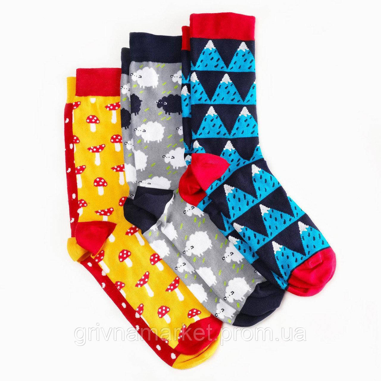 

Носки мужские Dodo Socks Yukon 44-46 набор 3 пары 009636, КОД: 1214543