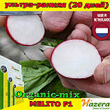 Насіння, редис ультра ранній, Меліто F1 / Melito F1 , 250 грам, ТМ Hazera Seeds (Нідерланди), фото 2