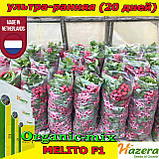 Насіння, редис ультра ранній, Меліто F1 / Melito F1 , 250 грам, ТМ Hazera Seeds (Нідерланди), фото 7