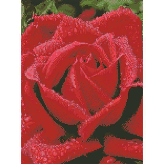

Алмазная мозайка Запашна троянда Идейка АМ6100 30х40см на подрамнике, квадратные стразы, полная зашивка