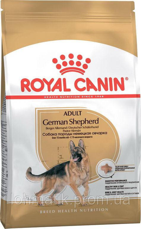 

Сухой корм Royal Canin German Shepherd Adult для взрослых собак старше 15 месяцев 11 кг (3182550892759