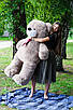 М'яка іграшка плюшевий ведмедик з гіпоалергенного матеріалу Ветли 160 см кольору Капучіно, фото 2