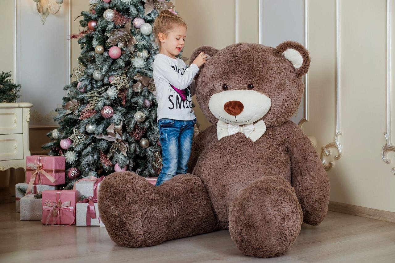 Огромный плюшевый. Плюшевый медведь 250см. Мягкие игрушки большие медведи. Большой медведь игрушка. Большая мягкая игрушка медведь.