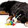 Petstages (Петстейдж) Hearty Chew - Іграшка для собак "М'ячик з канатами", фото 2