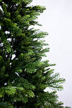 Елка литая искусственная новогодняя Лина-240, высота 240 см (lina-240), фото 2