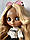 Шарнірна лялька Блайз Blyth TBL ,зростання 30 див., фото 10