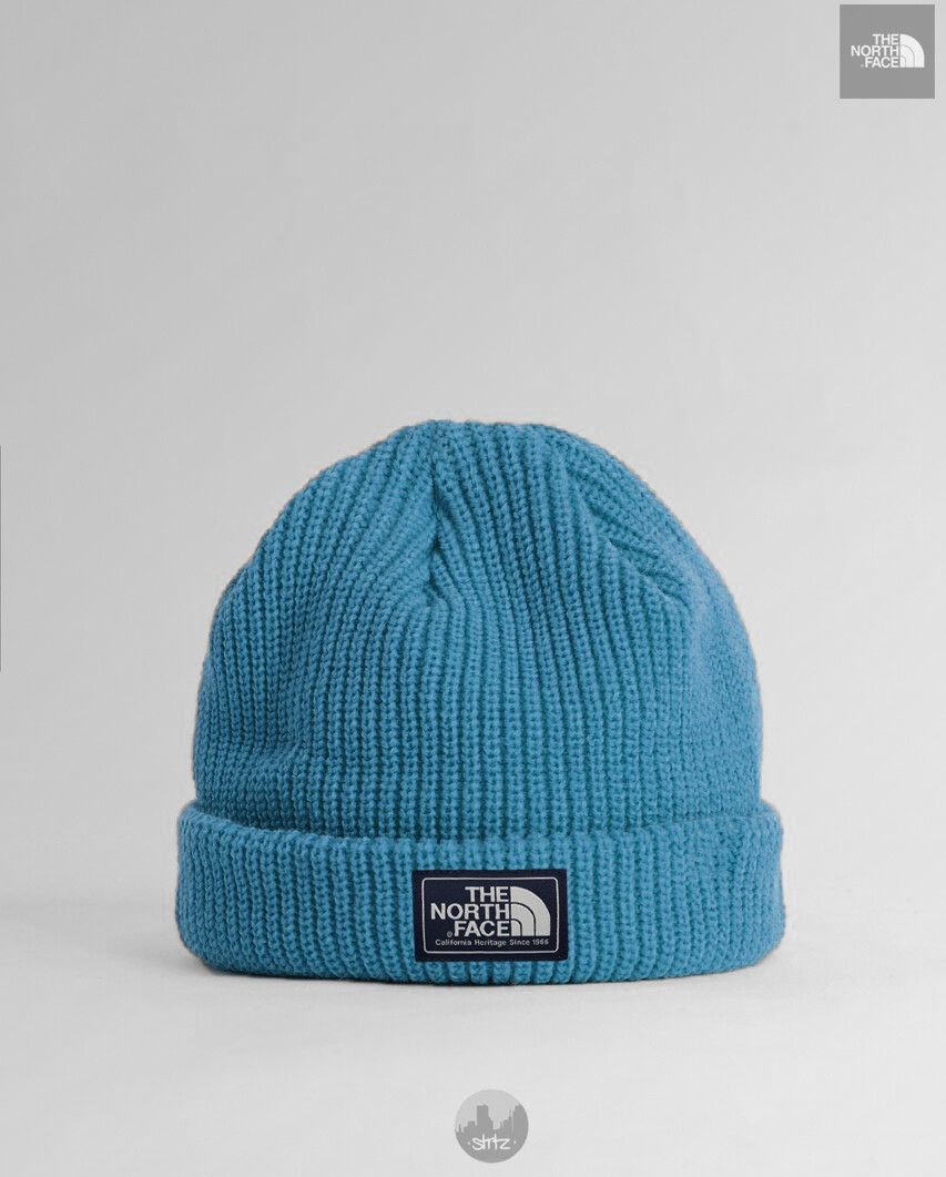 

Шапка унисекс The North Face Salty Dog Beanie (синяя), Синий