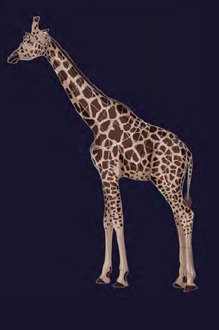 3D светодиодная тканевая фигура "Жираф", фото 2