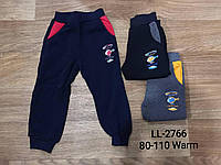 Спортивні штани з начосом для хлопчиків, Sincere, 110 см, № LL-2766