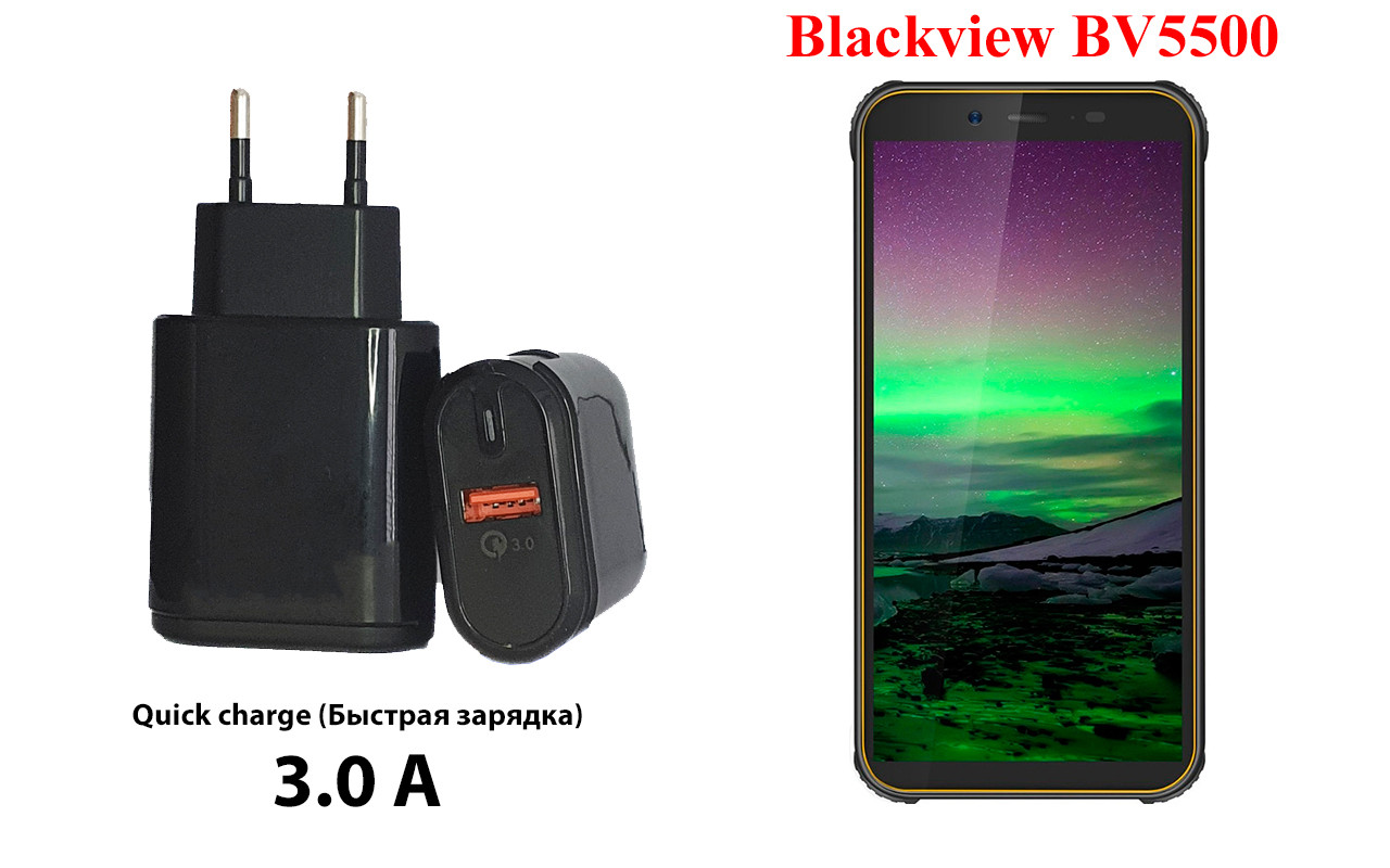 

Сетевое зарядное устройство Blackview BV5500 Pro, Черный