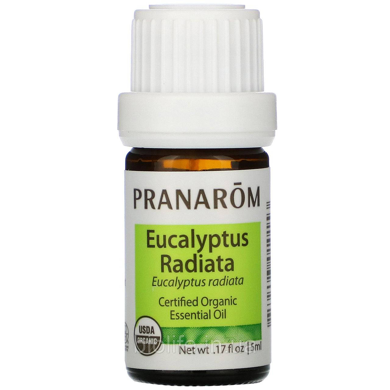 

Pranarom, Essential Oil, Eucalyptus Radiata, .17 fl oz (5 ml