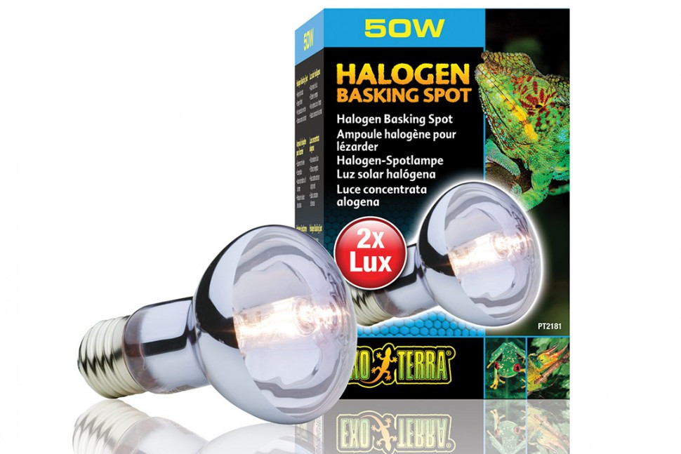 

Галогеновая зеркальная лампа для рептилий Exo Terra Halogen Basking Spot Е27 50 Вт