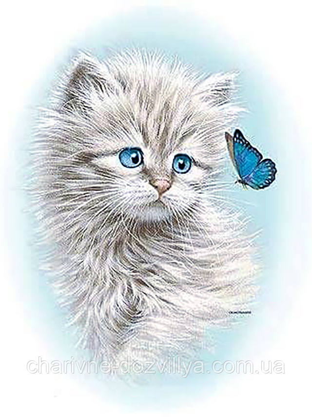 Набор алмазной вышивки (мозаики) "Котенок с бабочкой"