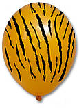 Латексный шар принт Тигр оранжевый 007 12 "30см Belbal ТМ" Star ", фото 2