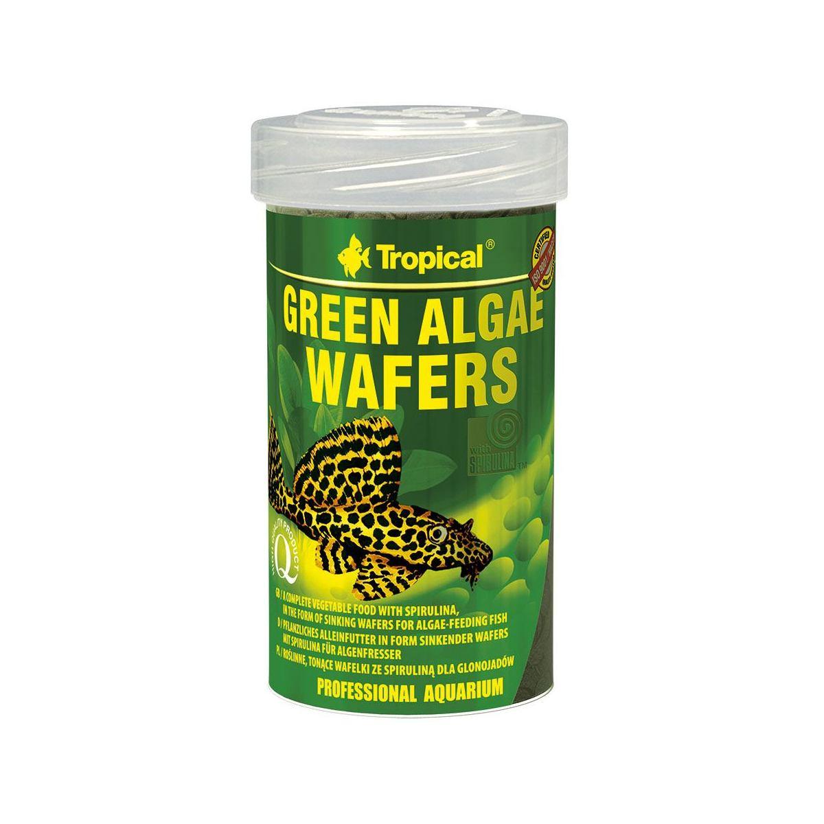 

Сухой корм для аквариумных рыб Tropical в пластинках «Green Algae Wafers» 100 мл (для травоядных донных рыб)