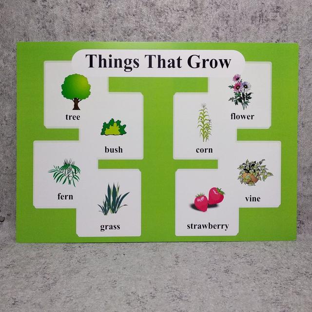 Things That Grow. Плакат для кабинета английского языка.